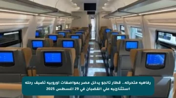 رفاهية متحركة.. قطار تالجو يدخل مصر بمواصفات أوروبية تضيف رحلة استثنائية على القضبان في 29 أغسطس 2025